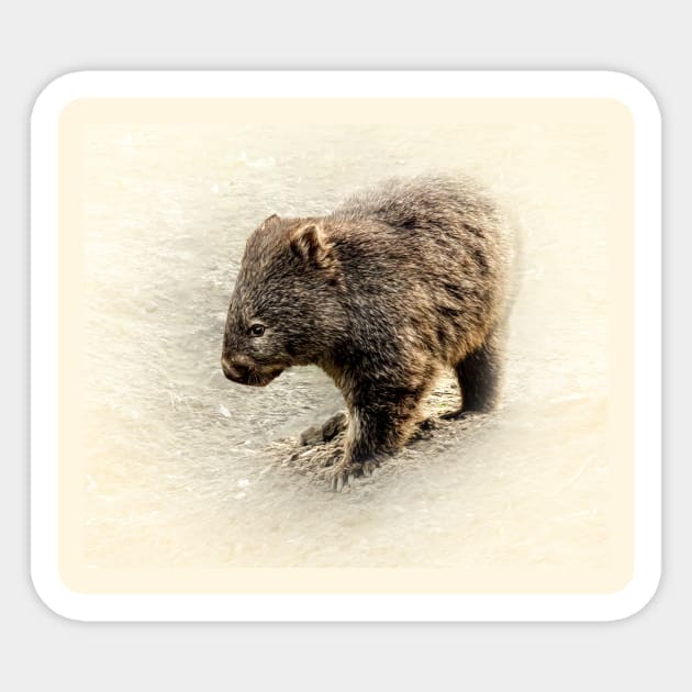 Wombat Sticker by Guardi